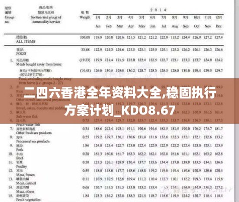 二四六香港全年资料大全,稳固执行方案计划_KDO8.67