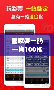 管家婆一码一肖100准329期,高效计划实施解析_DKV4.26