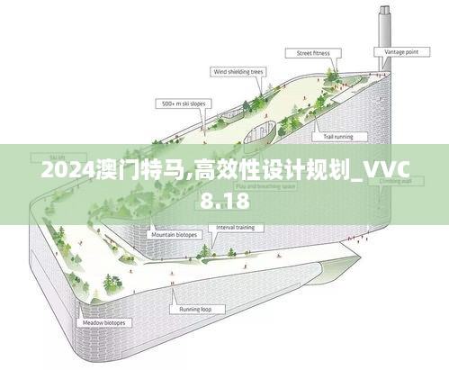 2024澳门特马,高效性设计规划_VVC8.18