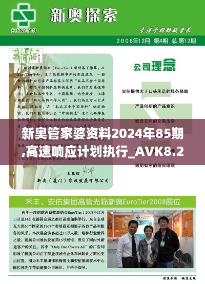 新奥管家婆资料2024年85期,高速响应计划执行_AVK8.25