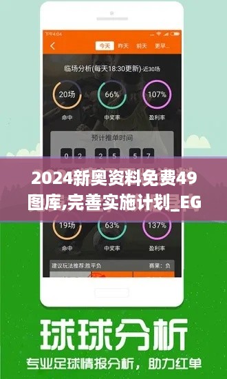 2024新奥资料免费49图库,完善实施计划_EGK8.39