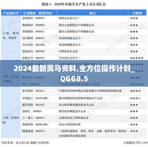 2024最新奥马资料,全方位操作计划_QGG8.5