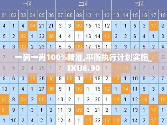 一码一肖100%精准,平衡执行计划实施_IXU8.90