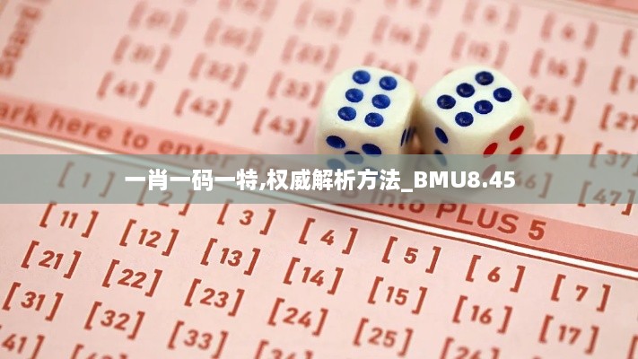 一肖一码一特,权威解析方法_BMU8.45