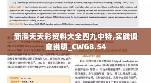 新澳天天彩资料大全四九中特,实践调查说明_CWG8.54