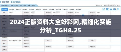 2024正版资料大全好彩网,精细化实施分析_TGH8.25