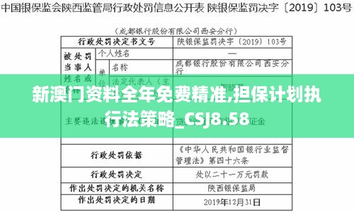 新澳门资料全年免费精准,担保计划执行法策略_CSJ8.58