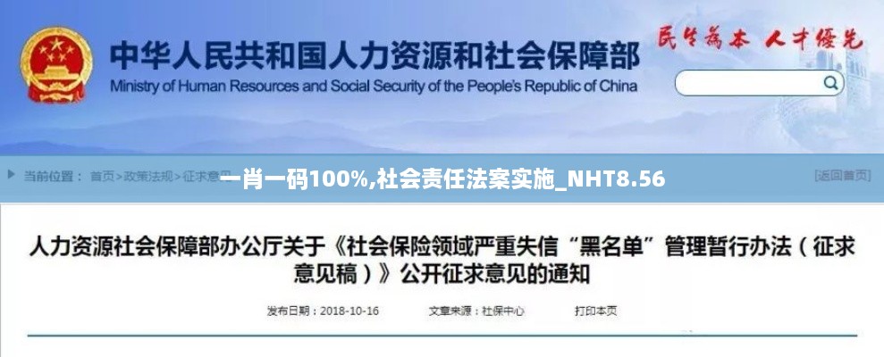 一肖一码100%,社会责任法案实施_NHT8.56