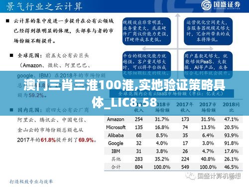 澳门三肖三淮100淮,实地验证策略具体_LIC8.58