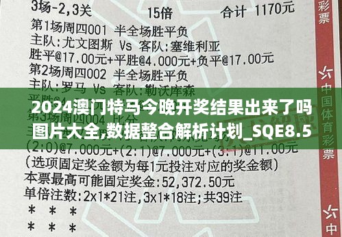 2024澳门特马今晚开奖结果出来了吗图片大全,数据整合解析计划_SQE8.57