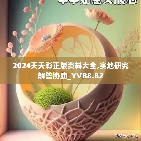 2024天天彩正版资料大全,实地研究解答协助_YVB8.82