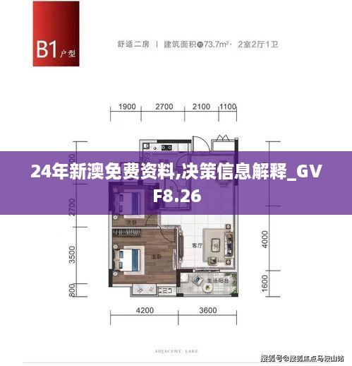 24年新澳免费资料,决策信息解释_GVF8.26