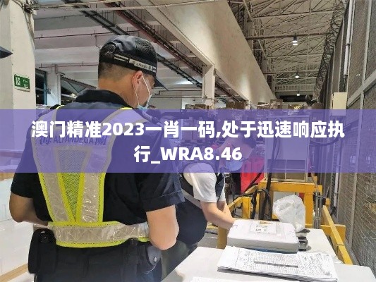 澳门精准2023一肖一码,处于迅速响应执行_WRA8.46