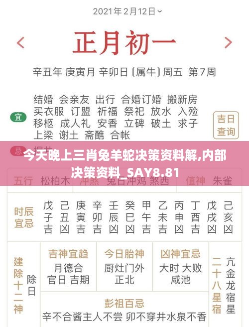 今天晚上三肖兔羊蛇决策资料解,内部决策资料_SAY8.81