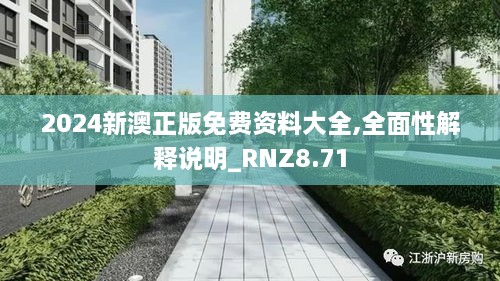 2024新澳正版免费资料大全,全面性解释说明_RNZ8.71