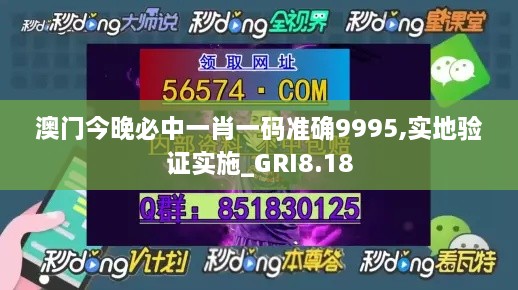 澳门今晚必中一肖一码准确9995,实地验证实施_GRI8.18