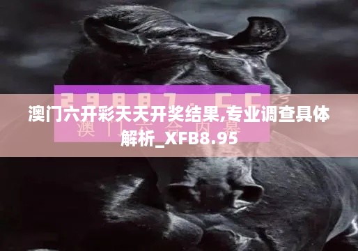 澳门六开彩天天开奖结果,专业调查具体解析_XFB8.95