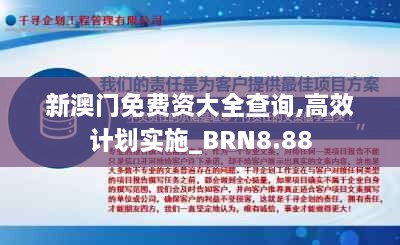 新澳门免费资大全查询,高效计划实施_BRN8.88