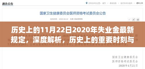 历史上的重要时刻与深度解析，2020年失业金最新规定全面评测