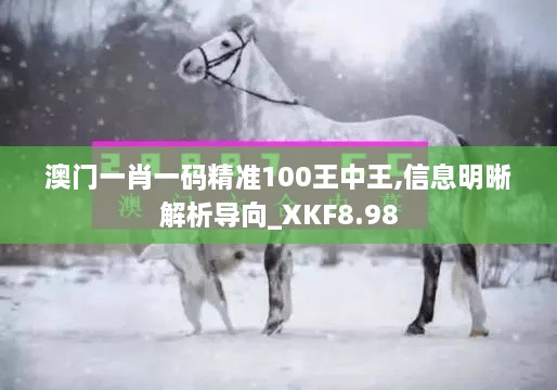 澳门一肖一码精准100王中王,信息明晰解析导向_XKF8.98