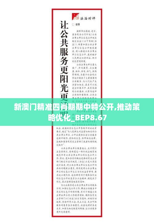 新澳门精准四肖期期中特公开,推动策略优化_BEP8.67