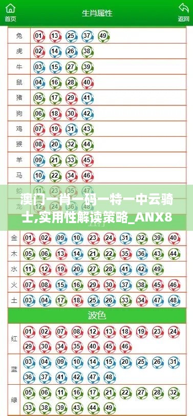 澳门一肖一码一特一中云骑士,实用性解读策略_ANX8.13