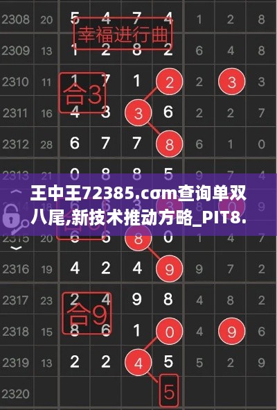 王中王72385.cσm查询单双八尾,新技术推动方略_PIT8.75