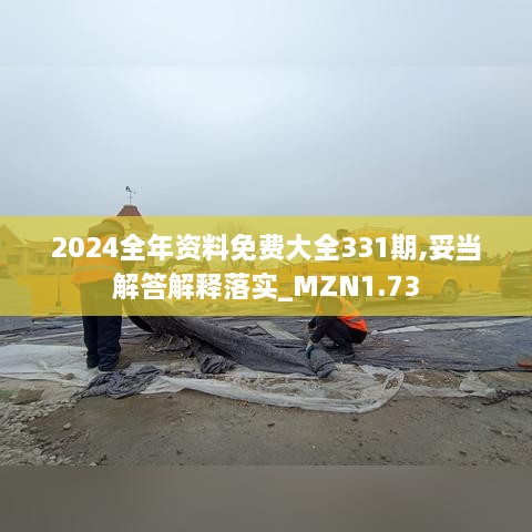 2024全年资料免费大全331期,妥当解答解释落实_MZN1.73