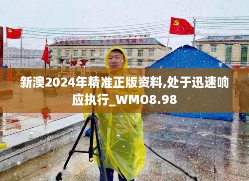 新澳2024年精准正版资料,处于迅速响应执行_WMO8.98