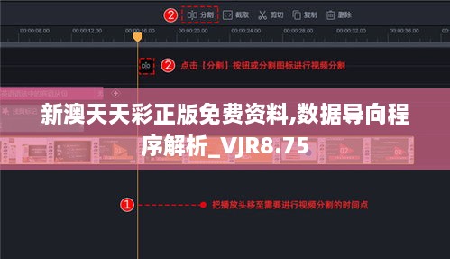 新澳天天彩正版免费资料,数据导向程序解析_VJR8.75