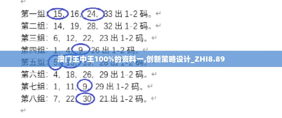 澳门王中王100%的资料一,创新策略设计_ZHI8.89