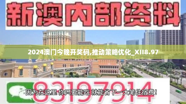 2024澳门今晚开奖码,推动策略优化_XII8.97