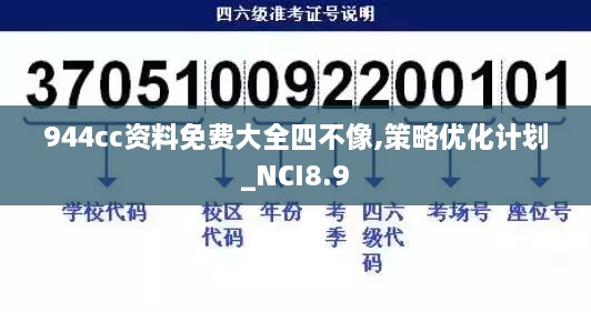 944cc资料免费大全四不像,策略优化计划_NCI8.9