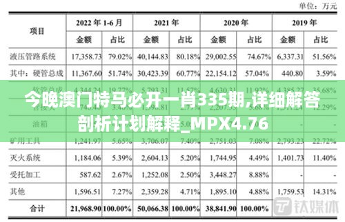 今晚澳门特马必开一肖335期,详细解答剖析计划解释_MPX4.76