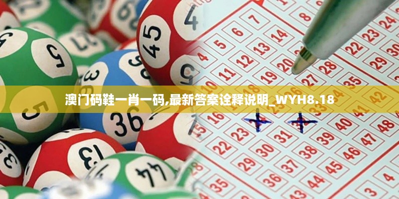 澳门码鞋一肖一码,最新答案诠释说明_WYH8.18