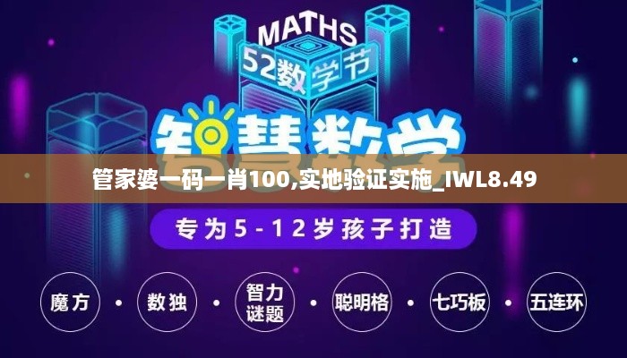 管家婆一码一肖100,实地验证实施_IWL8.49