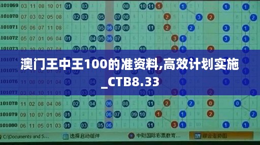 澳门王中王100的准资料,高效计划实施_CTB8.33