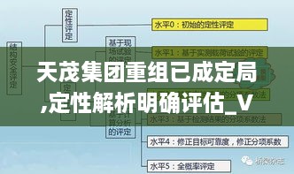 天茂集团重组已成定局,定性解析明确评估_VUN8.68