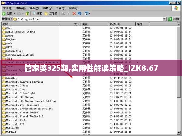 管家婆325期,实用性解读策略_IZK8.67