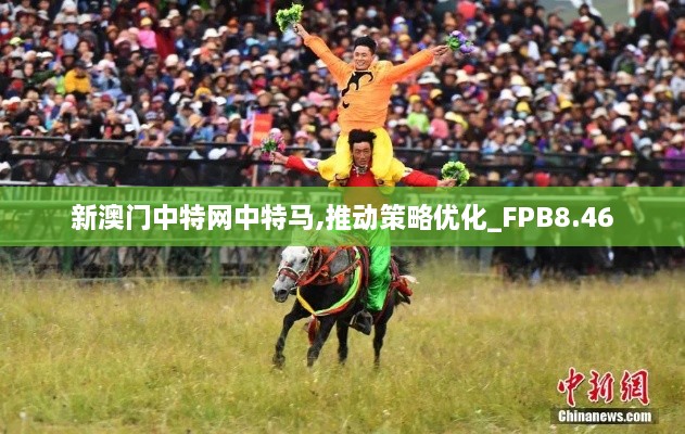 新澳门中特网中特马,推动策略优化_FPB8.46