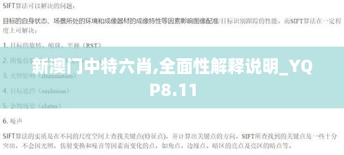 新澳门中特六肖,全面性解释说明_YQP8.11