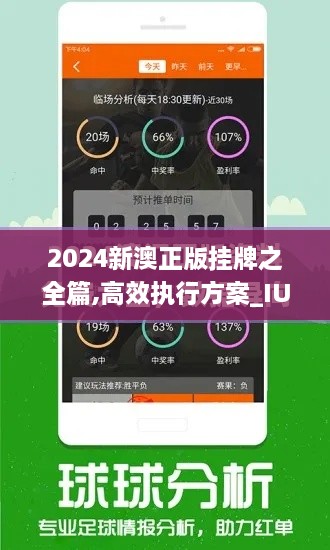 2024新澳正版挂牌之全篇,高效执行方案_IUL8.5