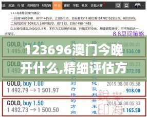 123696澳门今晚开什么,精细评估方案_WXI8.8