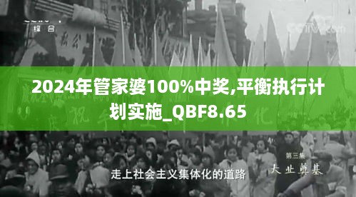 2024年管家婆100%中奖,平衡执行计划实施_QBF8.65