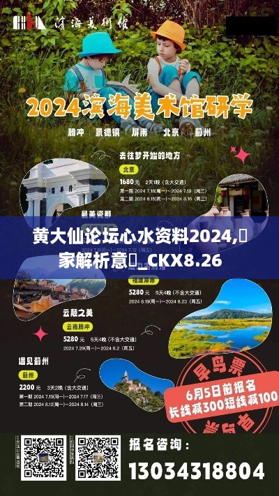 黄大仙论坛心水资料2024,專家解析意見_CKX8.26