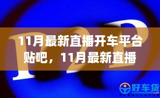 涉政问题直播平台的最新动态与热门互动体验一网打尽