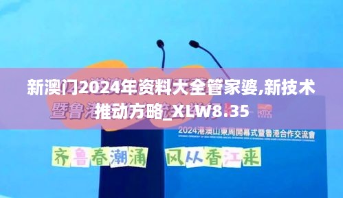 新澳门2024年资料大全管家婆,新技术推动方略_XLW8.35