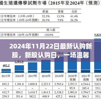 温馨家庭记忆与新股认购日的趣事——2024年新股认购回顾