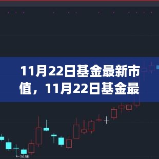 11月22日基金最新市值及评测报告