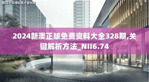 2024新澳正版免费资料大全328期,关键解析方法_NII6.74